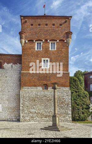 La Torre dei ladri fu eretta nel XIV secolo nel castello di Wawel, Cracovia, Polonia, Europa Foto Stock