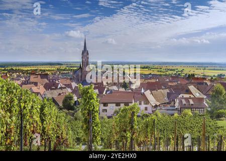 Vista di Dambach la Ville dalla collina con vigneti, Alsazia, Francia, Europa Foto Stock