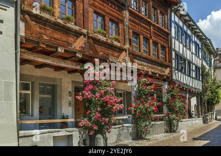 Strada nel centro storico di Rapperswil con rose, Svizzera, Europa Foto Stock