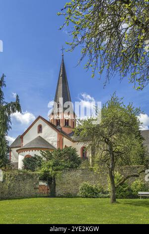 La Basilica dell'Abbazia di Steinfeld fu costruita tra il 1142 e il 1150 dai Premonstratensi come una delle prime chiese a volta in Germania Foto Stock