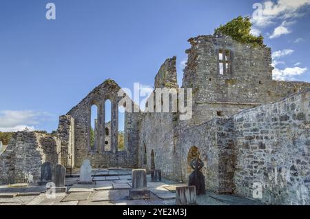 L'abbazia di Cong, nota anche come abbazia reale di Cong, è un sito storico situato a Cong, in Irlanda. Le rovine dell'ex abbazia agostiniana sono per lo più datate Foto Stock