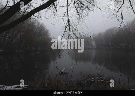 Fantastica foresta nebbiosa, suggestiva foresta Black Metal, foresta nebbiosa scuro spettrale, atmosfera horror Foto Stock