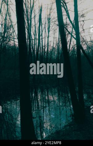 Fantastica foresta nebbiosa, suggestiva foresta Black Metal, foresta nebbiosa scuro spettrale, atmosfera horror Foto Stock