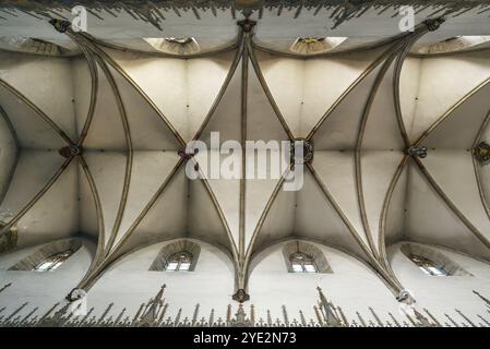 La chiesa di San Nicola è una cattedrale gotica di Trnava, Slovacchia. Interno, soffitto Foto Stock