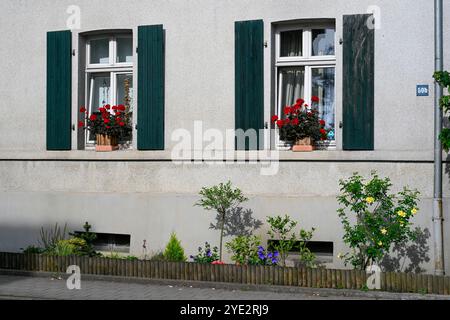 Facciata con finestra, persiane e fiori Foto Stock
