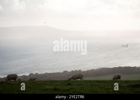 Vista di Portland di fronte alla Ringstead Bay sulla Jurassic Coast nel Dorset, Regno Unito Foto Stock