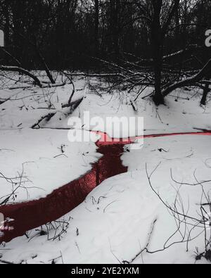 Suggestiva foresta Black Metal, foresta oscura e spettrale, fiume horror invernale Foto Stock