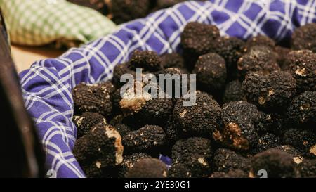 I visitatori esplorano un vivace mercato pieno di tartufi neri appena raccolti durante il Festival del Tartufo d'Alba in Italia. L'evento presenta le pubbliche relazioni locali Foto Stock