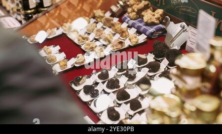 Una vibrante vetrina di vari tartufi allestita su vassoi al Festival del Tartufo d'Alba in Italia Foto Stock