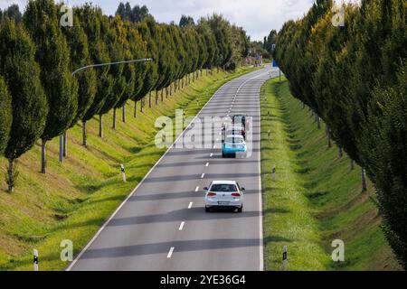 La strada Dorstfelder Allee nel quartiere Dorstfeld, viale alberato, Dortmund, Renania settentrionale-Vestfalia, Germania. Die Dorstfelder Allee im Stadtte Foto Stock