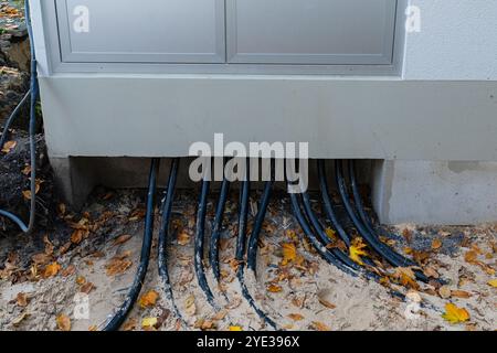 Cavi multipli che collegano le fondamenta di un edificio al suolo, circondati da foglie autunnali cadute. Primo piano. Foto Stock