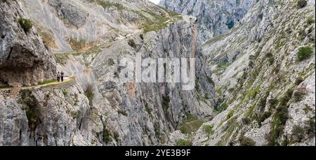 Picos de Europa, Spagna - mai 20, 2024 - magnifico paesaggio della gola di Cares nelle montagne di Picos de Europa nelle Asturie, Spagna settentrionale Foto Stock