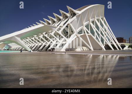 Valencia, Spagna - 16 agosto 2023: Museo della scienza del principe Filippo a Valencia, Spagna. Foto Stock