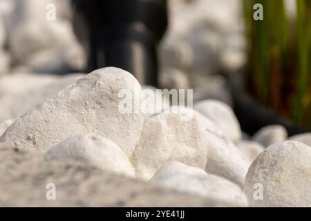 Primo piano di ciottoli di marmo bianco in un letto. Foto di alta qualità Foto Stock