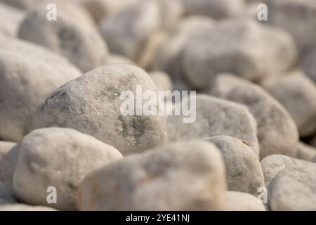 Primo piano di ciottoli di marmo bianco in un letto. Foto di alta qualità Foto Stock