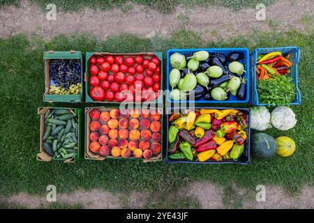 Frutta e verdura fresca biologica coltivata in casa dalla fattoria di campagna in casse con vista dall'alto del piano terra Foto Stock