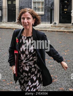 Londra, Regno Unito. 29 ottobre 2024. Anneliese Dodds, Ministro aggiunto dello sviluppo presso l'Ufficio del Commonwealth degli Esteri e dello sviluppo, Ministro delle donne e delle pari opportunità, deputato per Oxford Est. I ministri partecipano alla riunione del gabinetto di governo a Downing Street, Londra, Regno Unito Credit: Imageplotter/Alamy Live News Foto Stock