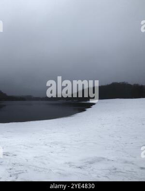 Fiume invernale surrealistico, foresta oscura e spettrale, atmosfera horror, colori fantastici Foto Stock
