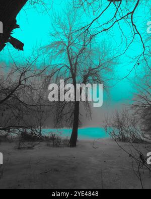 Fantastica foresta nebbiosa, alberi ghiacciati nel fiume, suggestiva foresta Black Metal, nebbiosa foresta oscura e spettrale, atmosfera horror Foto Stock