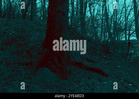 Suggestiva foresta di black metal, oscura foresta spettrale, atmosfera horror, oscurità surreale Foto Stock