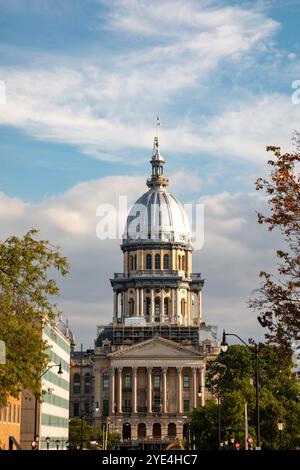 Springfield, Illinois - l'edificio del campidoglio dello stato dell'Illinois. Foto Stock