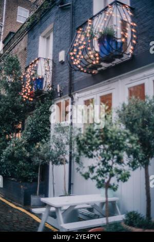 Porta d'ingresso e ingresso sulle splendide strade di Notting Hill mews in autunno, Londra Foto Stock
