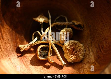 Primi piani di funghi allucinogeni magici essiccati in una ciotola di legno. Funghi psilocibina psicoattivi. Salviette asciutte su piastra grunge Foto Stock
