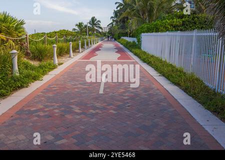 Sentiero pavimentato con vegetazione e lampioni lungo Walking Street a Miami Beach. Foto Stock