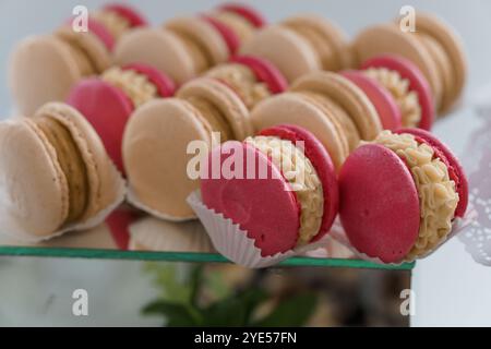 Delizioso assortimento di macaron colorati esposti elegantemente su un banco di vetro. Foto Stock