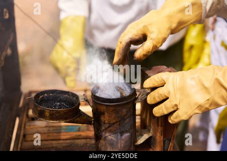 Un uomo che prepara il fumo per calmare le api mentre controlla il miele nelle cornici Foto Stock