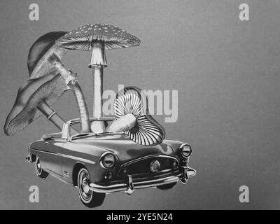 Arte concettuale del collage surreale di un'auto rossa con quattro diversi funghi seduti al suo interno Foto Stock