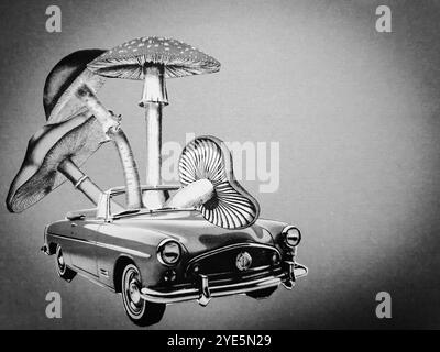 Arte concettuale del collage surreale di un'auto rossa con quattro diversi funghi seduti al suo interno Foto Stock