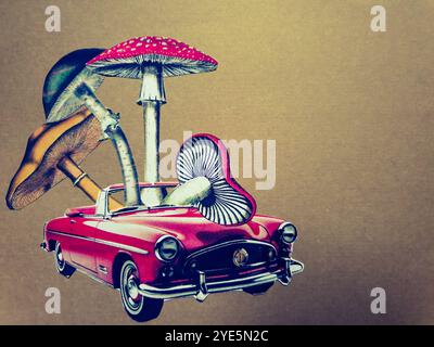 Arte concettuale del collage surreale di un'auto rossa con quattro diversi funghi seduti al suo interno Foto Stock