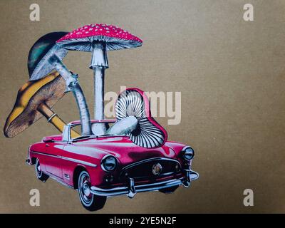 Arte concettuale del collage surreale di un'auto rossa con quattro diversi funghi seduti al suo interno Foto Stock