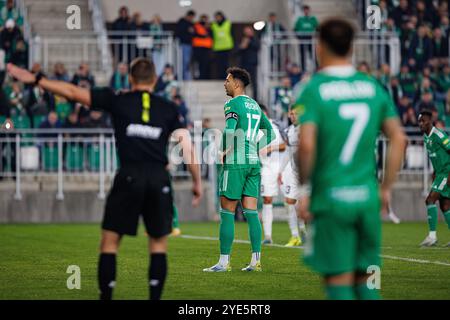 Leonardo Rocha ha visto durante la partita PKO BP Ekstraklasa tra squadre di Radomiak Radom e Puszcza Niepolomice allo Stadion Miejski im. Braci Czachorow (Mac Foto Stock