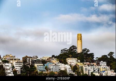 Coit Tower su Telegraph Hill a San Francisco, California Foto Stock