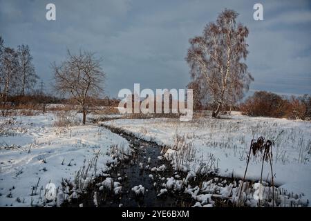 fens in Erdinger Moos in the Snow, riserva naturale di Gfaellach, Germania, Baviera, Oberbayern, alta Baviera, Erding Foto Stock