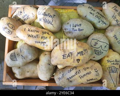 Patate (Solanum tuberosum), patate giganti con etichette per stuzzicare l'appetito e incoraggiarvi ad acquistarle, Germania Foto Stock