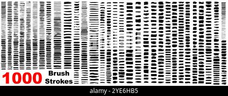 Collezione molto ampia o set di 1000 pennelli creativi realizzati a mano realizzati in nero, isolati su sfondo bianco, metafora dell'arte o del grunge Illustrazione Vettoriale