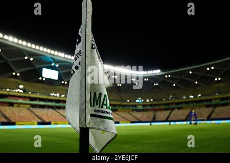 Manaus, Brasile. 29 ottobre 2024. AM - MANAUS - 10/29/2024 - BRASILIANO B 2024, AMAZONAS x BOTAFOGO-SP - Vista generale dello stadio Arena da Amazonia per la partita tra Amazonas e Botafogo-SP per il campionato brasiliano B 2024. Foto: Antonio Pereira/AGIF credito: AGIF/Alamy Live News Foto Stock