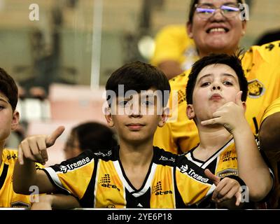 Manaus, Brasile. 29 ottobre 2024. AM - MANAUS - 10/29/2024 - BRASILIANO B 2024, AMAZONAS x BOTAFOGO-SP - TIFOSI durante la partita tra Amazonas e Botafogo-SP allo stadio Arena da Amazonia per il campionato brasiliano B 2024. Foto: Antonio Pereira/AGIF (foto di Antonio Pereira/AGIF/Sipa USA) credito: SIPA USA/Alamy Live News Foto Stock