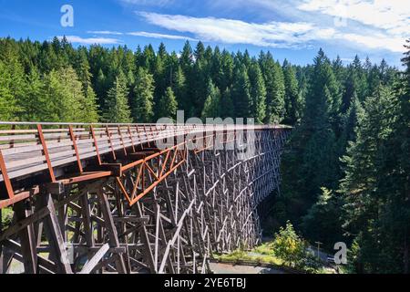 Il Kinsol Trestle Bridge, visto lateralmente, mostra l'imponente stucco in legno della costruzione sul fiume Koksilah sottostante. Foto Stock