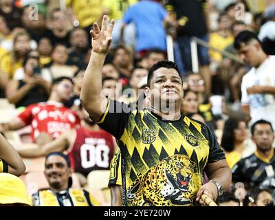 Manaus, Brasile. 29 ottobre 2024. AM - MANAUS - 10/29/2024 - BRASILIANO B 2024, AMAZONAS x BOTAFOGO-SP - TIFOSI durante la partita tra Amazonas e Botafogo-SP allo stadio Arena da Amazonia per il campionato brasiliano B 2024. Foto: Antonio Pereira/AGIF credito: AGIF/Alamy Live News Foto Stock