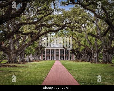 Oak Alley Plantation, Vacherie, St. James Parish, Louisiana, Stati Uniti Foto Stock