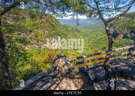 Vista panoramica del Cloudland Canyon con fogliame autunnale dal punto di vista principale sopra Sitton Gulch sul Lookout Mountain a Rising Fawn, Georgia. (USA) Foto Stock