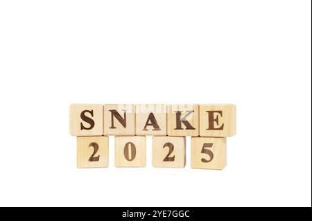 A partire dal nuovo anno 2025. Anno del serpente. Inizio e inizio del nuovo anno 2025. anno nuovo, vita, affari, piano, obiettivi, obiettivo e concetto di strategia. IO Foto Stock