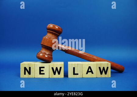 Lettere dell'alfabeto New Law con blocchi di legno lettere dell'alfabeto e martelletto su sfondo blu Foto Stock