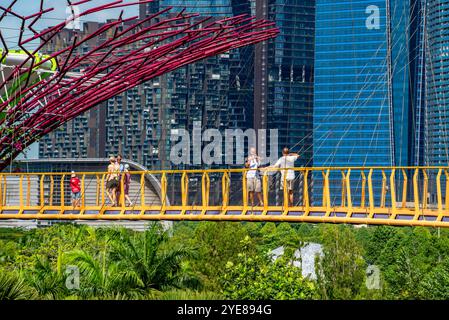 L'OCBC Skyway, a 22 metri dal suolo, è una passerella aerea lunga 128 metri tra due dei Super alberi del Gardens by the Bay di Singapore Foto Stock