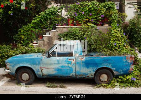 Vecchio furgone blu cresciuto con edera a Corfù, in Grecia Foto Stock