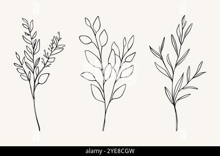 Set floreale vettoriale contorno. Rami astratti disegnati a mano, icone di piante forestali. Contornare i ramoscelli delicati, il gambo e le foglie Illustrazione Vettoriale